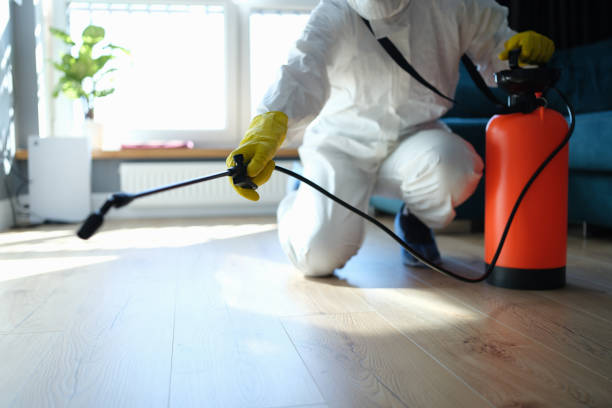 Reliable Biohazard contractor in Georgetown, CO by Crime Scene Cleaner Online
